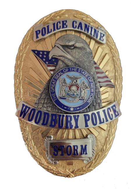 Woodbury Police